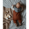 Mini rabbit
