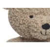 Peluche Teddy Bear Biscuit