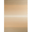Tapis d'extérieur motif ligne dégradée beige 120 X 160 cm Tapis d'extérieur motif ligne dégradée beige 120 X 160 cm