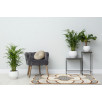 Tapis de salon moderne gris 80 X 150 cm Tapis de salon moderne gris 80 X 150 cm
