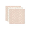 Lange Gaze de Coton Small 70x70cm Twig - Wild Rose - 3 Unités