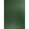 Tapis d'extérieur motif rayure dégradée vert 180 X 280 cm Tapis d'extérieur motif rayure dégradée vert 180 X 280 cm
