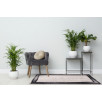 Tapis de salon à motifs gris foncé 70 X 180 cm Tapis de salon à motifs gris foncé 70 X 180 cm