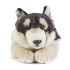 Peluche Loup Peluche Loup