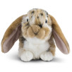Peluche Lapin bélier brun Peluche Lapin bélier brun