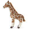Peluche Girafe Peluche Girafe