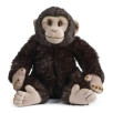 Peluche Chimpanzé Peluche Chimpanzé
