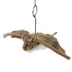Peluche Chauve-Souris Peluche Chauve-Souris