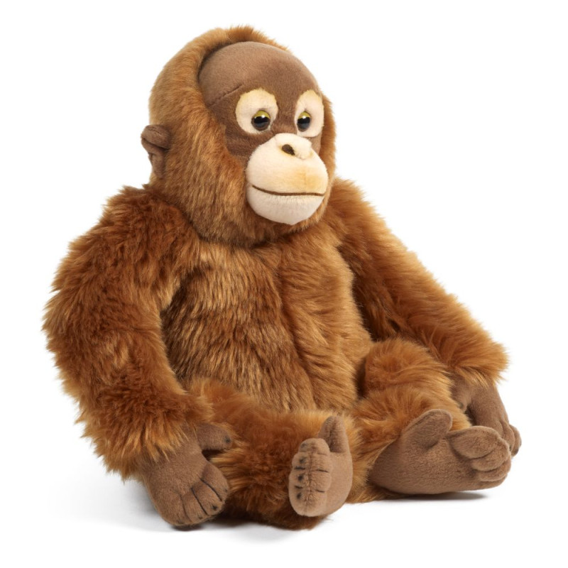 Peluche Orang Outan