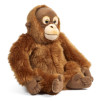 Peluche Orang Outan Peluche Orang Outan