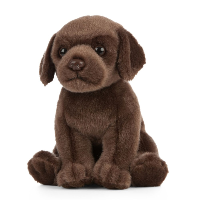 Peluche Labrador brun 18 cm