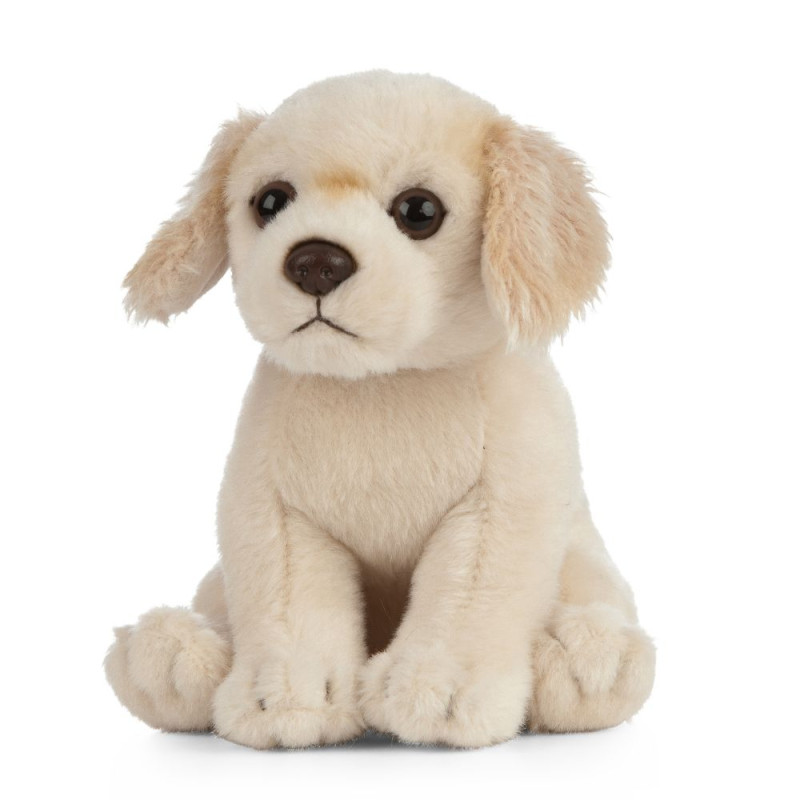 Peluche Golden Retriever 19 cm