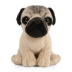 Peluche Carlin 18 cm Peluche Carlin 18 cm