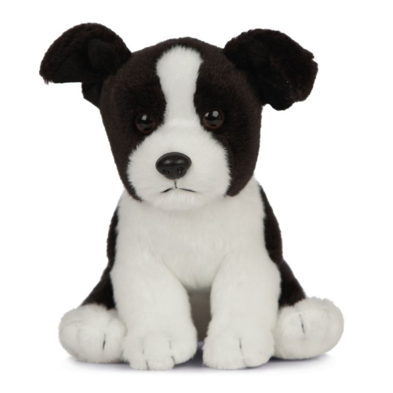 Peluche Border Collie 21 cm