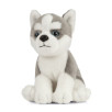 Peluche chien Husky 23 cm Peluche chien Husky 23 cm