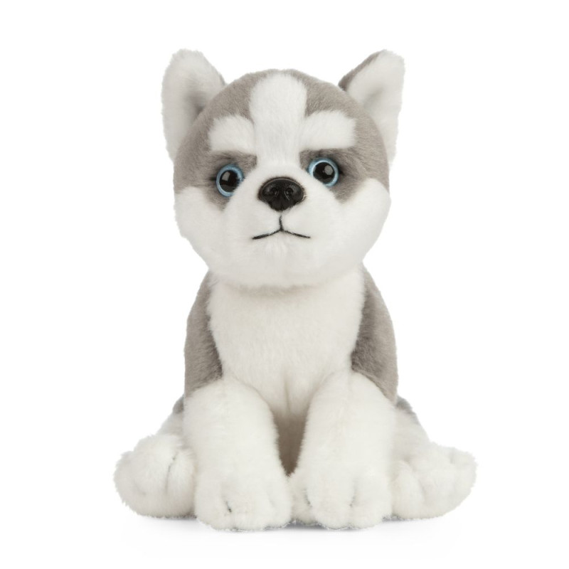 Peluche chien Husky 23 cm