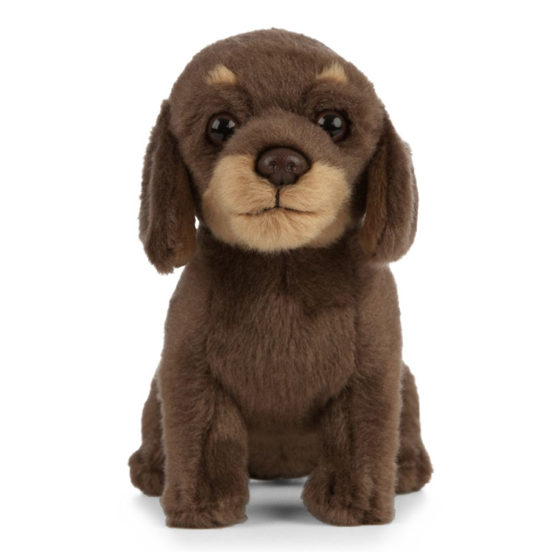 Peluche Teckel 26 cm