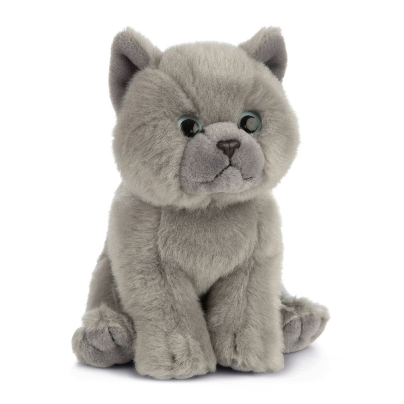 Peluche chat British Shorthair
