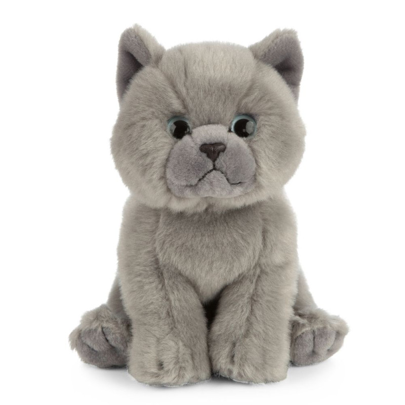 Peluche chat British Shorthair