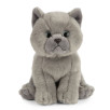 Peluche chat British Shorthair