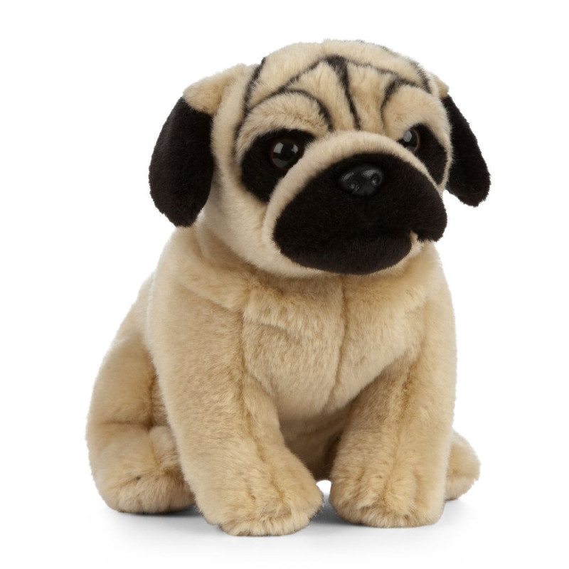 Peluche Carlin