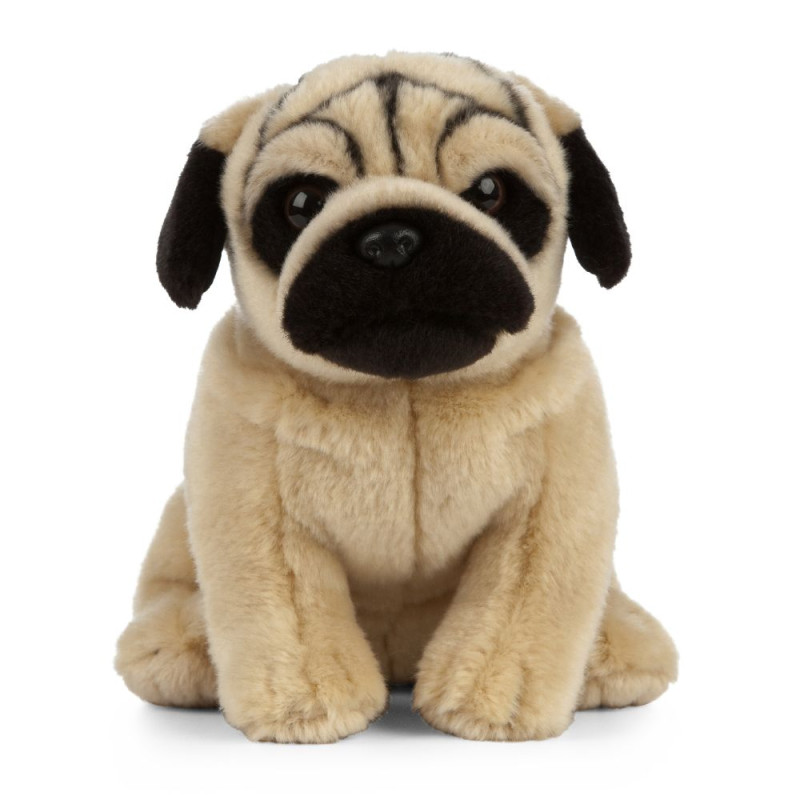 Peluche Carlin