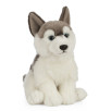 Peluche Husky 26 cm Peluche Husky 26 cm