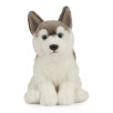 Peluche Husky 26 cm Peluche Husky 26 cm