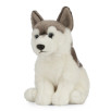 Peluche Husky 26 cm Peluche Husky 26 cm