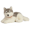 Peluche Husky 60 cm | Living Nature Peluche Husky 60 cm | Living Nature