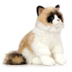 Peluche chat Ragdoll Peluche chat Ragdoll