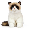 Peluche chat Ragdoll Peluche chat Ragdoll