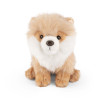 Peluche loulou de Poméranie Peluche loulou de Poméranie