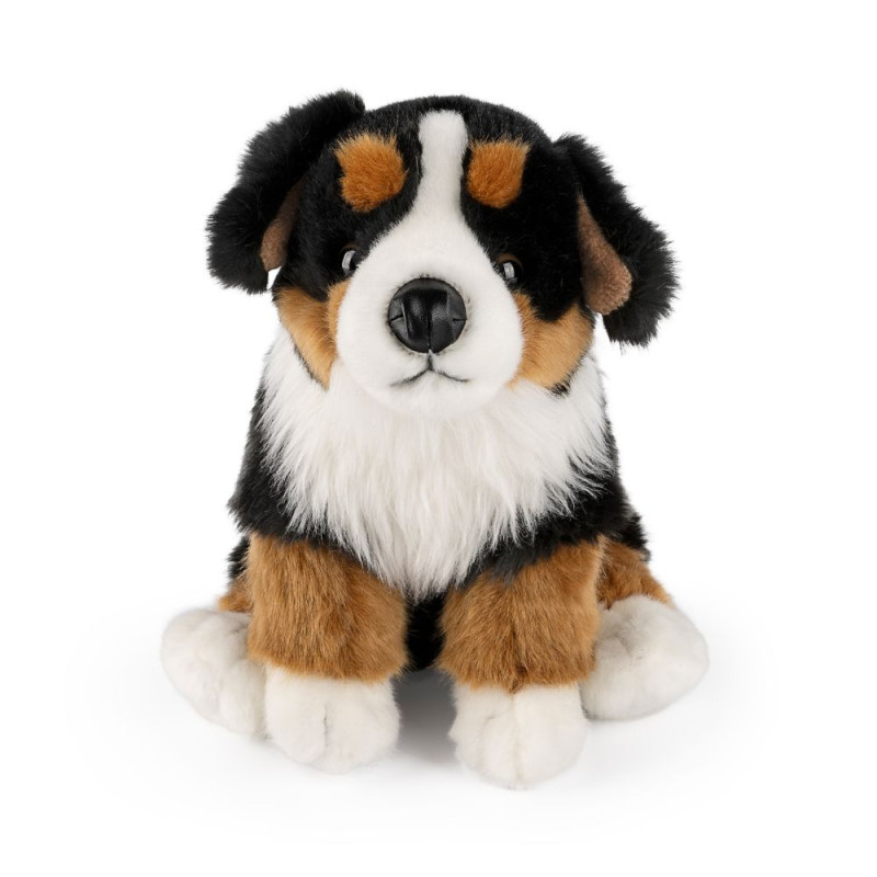 Peluche Bouvier Bernois