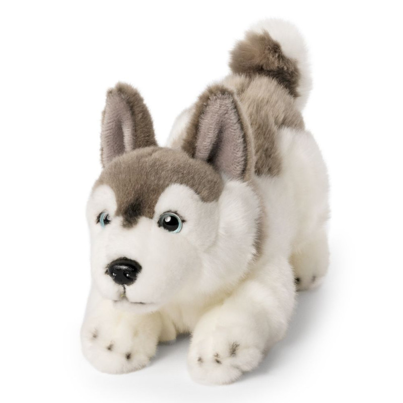 Peluche Husky 23 cm