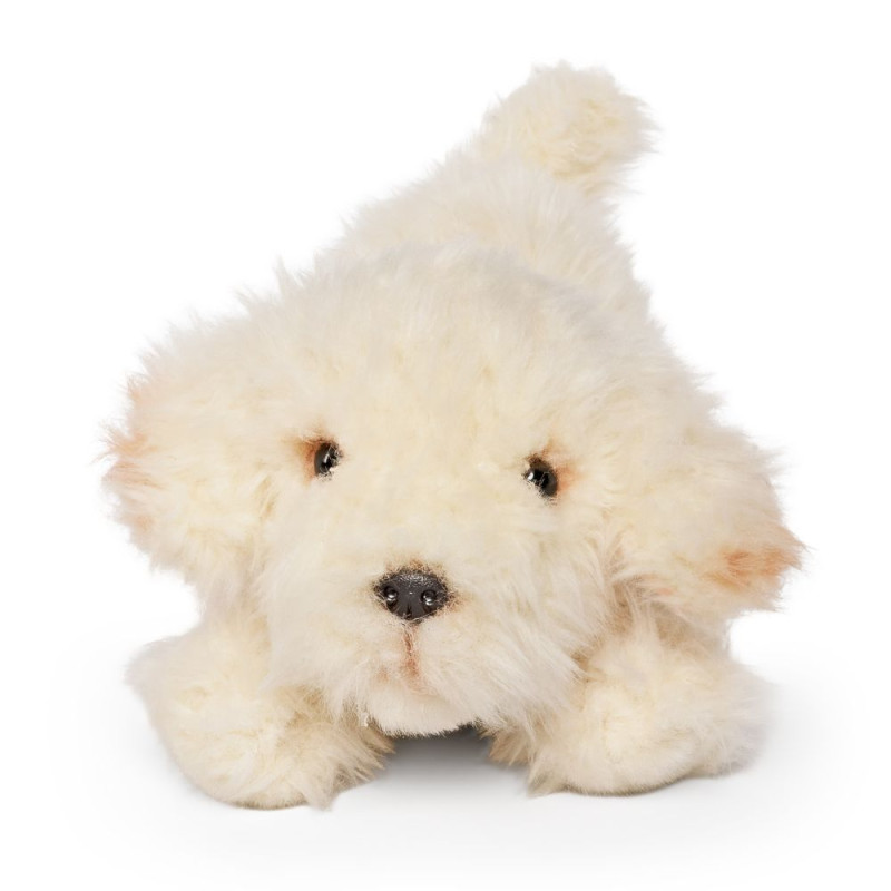 Peluche Labradoodle 25 cm