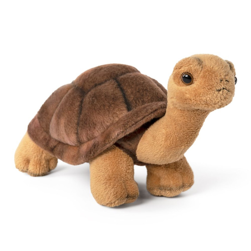 Peluche Tortue terrestre