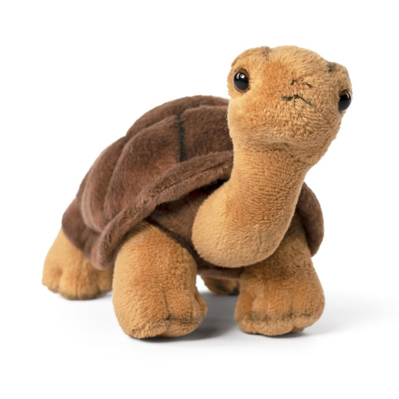 Peluche Tortue terrestre