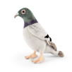 Peluche Pigeon Peluche Pigeon