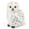 Peluche Chouette blanche 20 cm Peluche Chouette blanche 20 cm