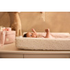 Housse Matelas à Langer Jersey 50x70cm - Pretty Picnic
